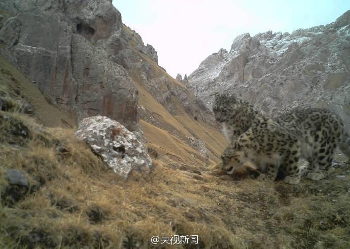 nba08全明星赛-乐鱼app(leyu)官方网站-乐鱼官网