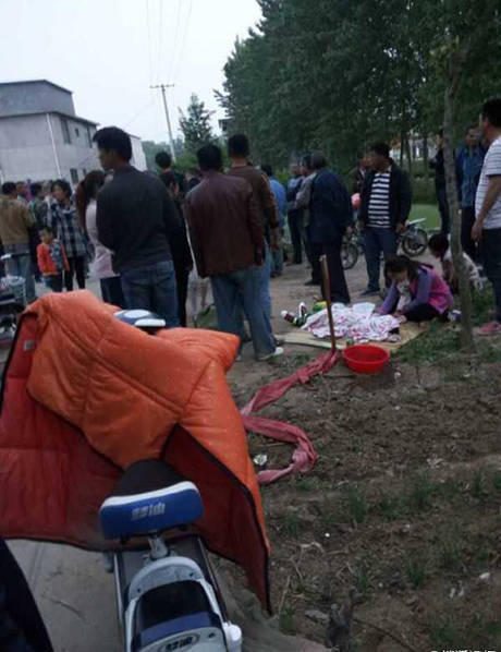 中童镇有多少人口_镇、洪口乡、霍童镇,开展履新调研活动. 毛祚松先后视察