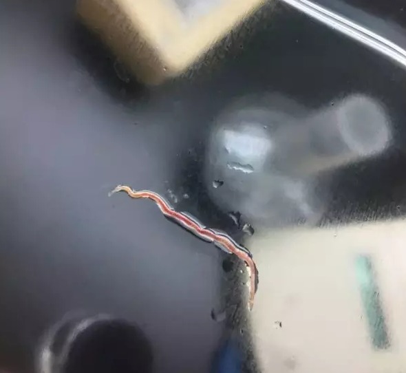 因扎吉自传-九游体育APP下载-九游体育app-九游体育app官网网站|九游体育