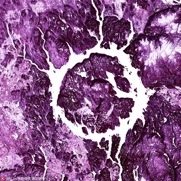 巴萨vs国安-乐鱼app(leyu)官方网站-乐鱼官网