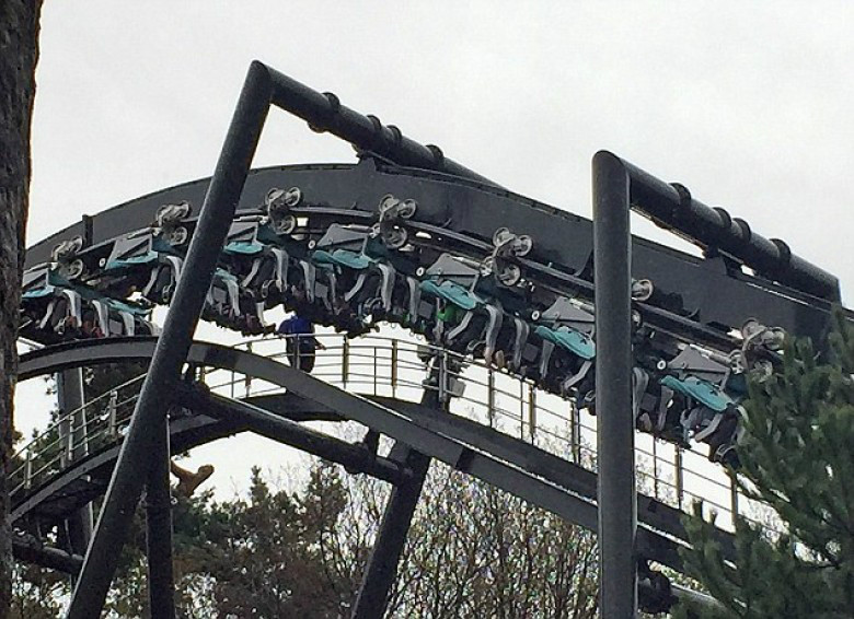 中央海岸水手-乐鱼app(leyu)官方网站-乐鱼官网