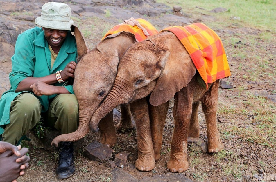 里皮翻译-乐鱼app(leyu)官方网站-乐鱼官网