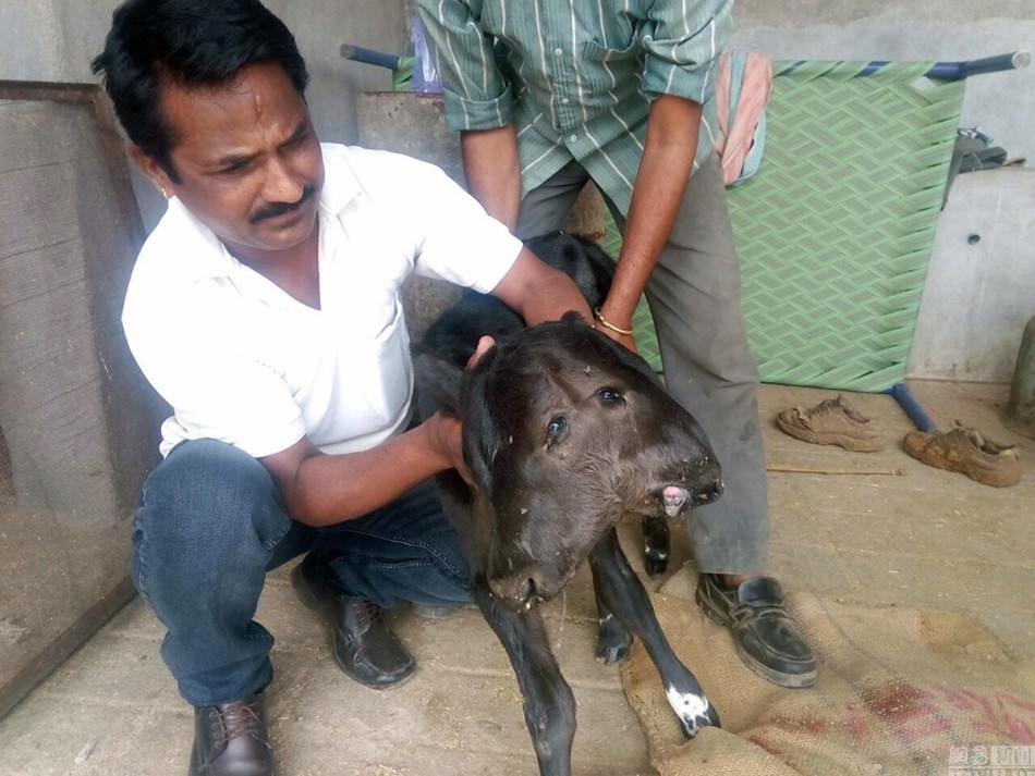 蒙雷亚尔-乐鱼app(leyu)官方网站-乐鱼官网