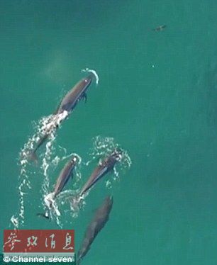 奥莱姆贝-乐鱼app(leyu)官方网站-乐鱼官网