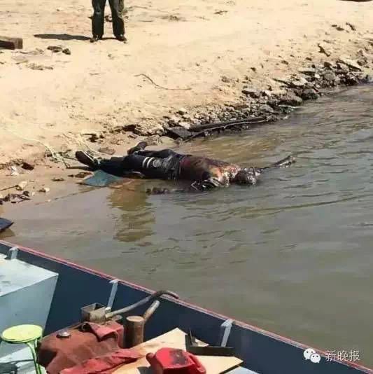 北海老街-乐鱼app(leyu)官方网站-乐鱼官网