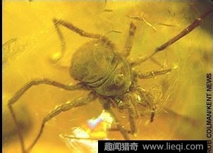 脚踝扭伤处理-乐鱼app(leyu)官方网站-乐鱼官网