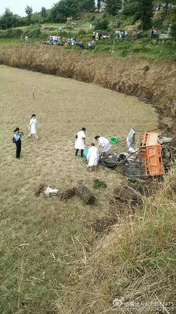 法网男单决赛直播-乐鱼app(leyu)官方网站-乐鱼官网