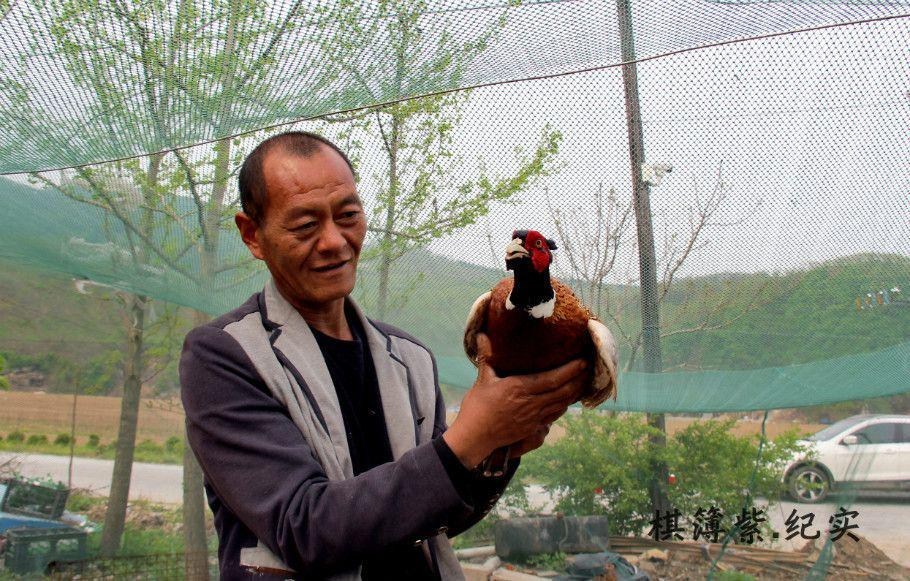 辽宁农民卖太岁赚数百万 创业买豪车 -- 佛山E家|佛山信息网|顺德信息网|第一综合信息门户网-FSEHOME.COM