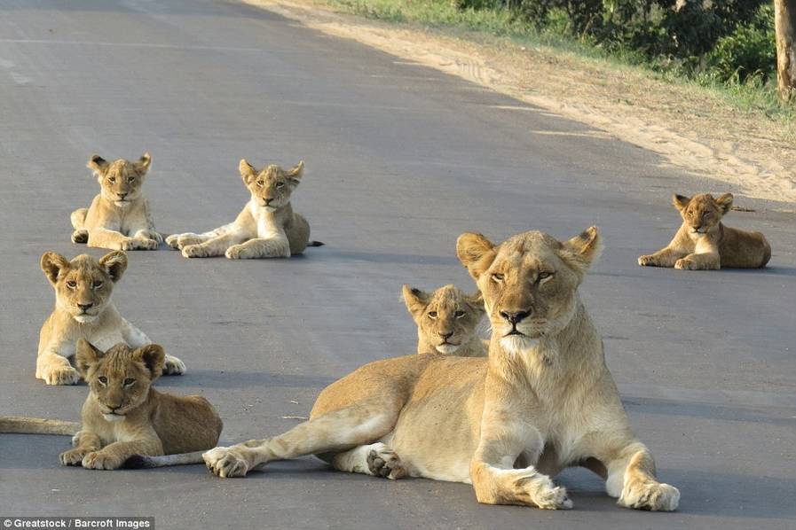 广州德比-爱游戏(ayx)官网网站_ayx.com