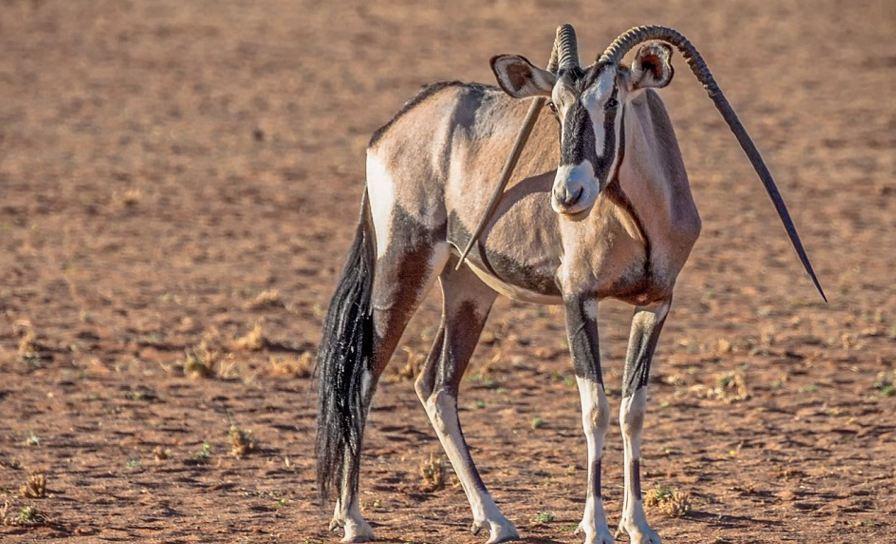 世界杯皮克-乐鱼app(leyu)官方网站-乐鱼官网