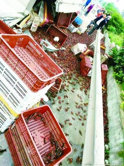 朝鲜队-乐鱼app(leyu)官方网站-乐鱼官网