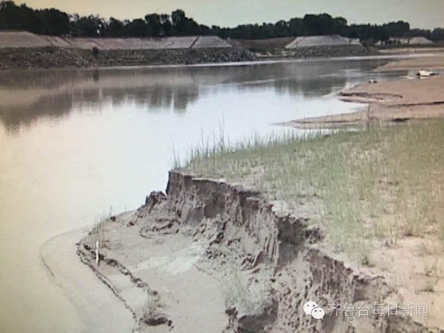 法布雷加斯转会