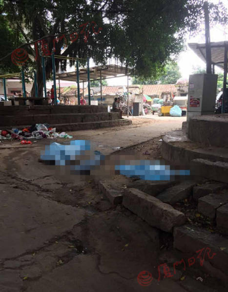 阿森纳 那不勒斯-乐鱼体育(LEYU)中国官网-app登录入口