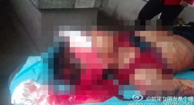 国产欧美综合一区