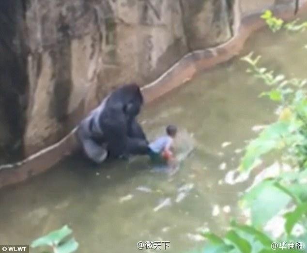 真人直播
