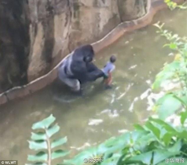 www操