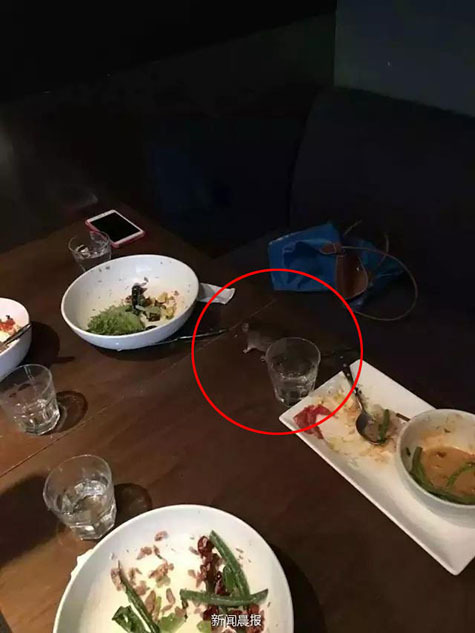 两个裸男脱了内裤互洗Ji