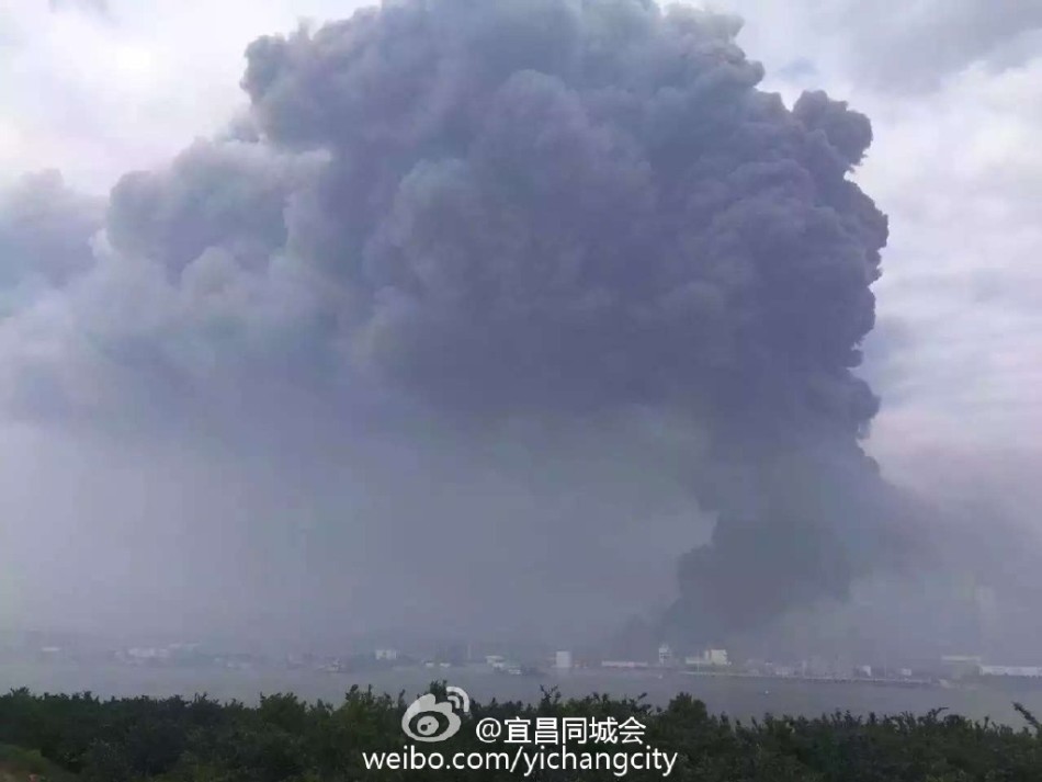 中文 成人 视频 网站