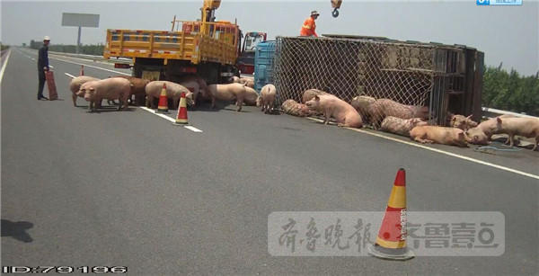 中国電影女人的腋毛