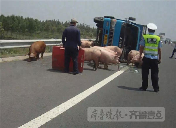 春药糟蹋调教H