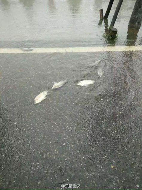 成人 性爱 短 片