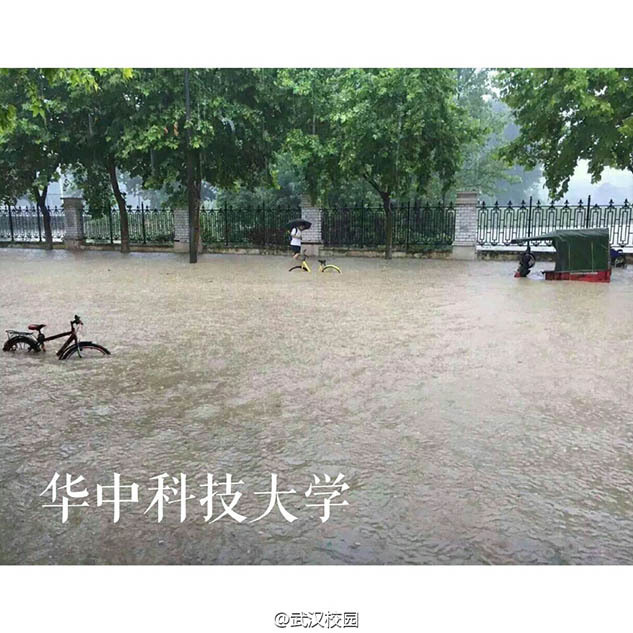 张您雨沙发原图