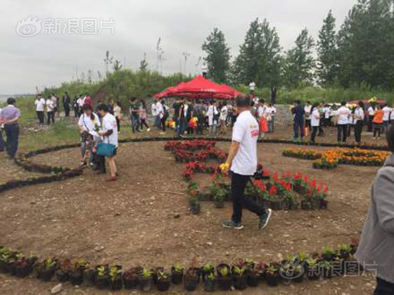 妖獸都市卡通