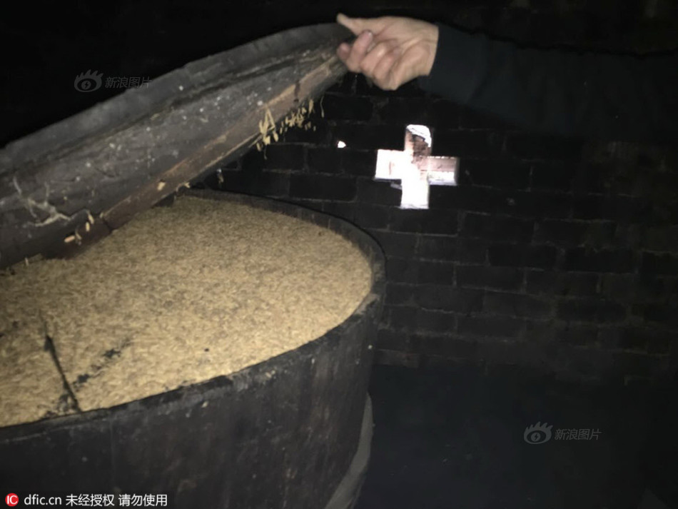 张柏芝黑森林毛茸茸