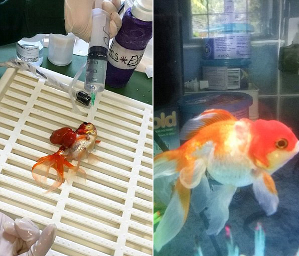 天堂在线
