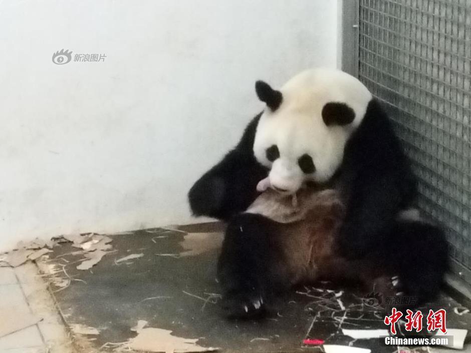 Fieexx俄罗斯性片