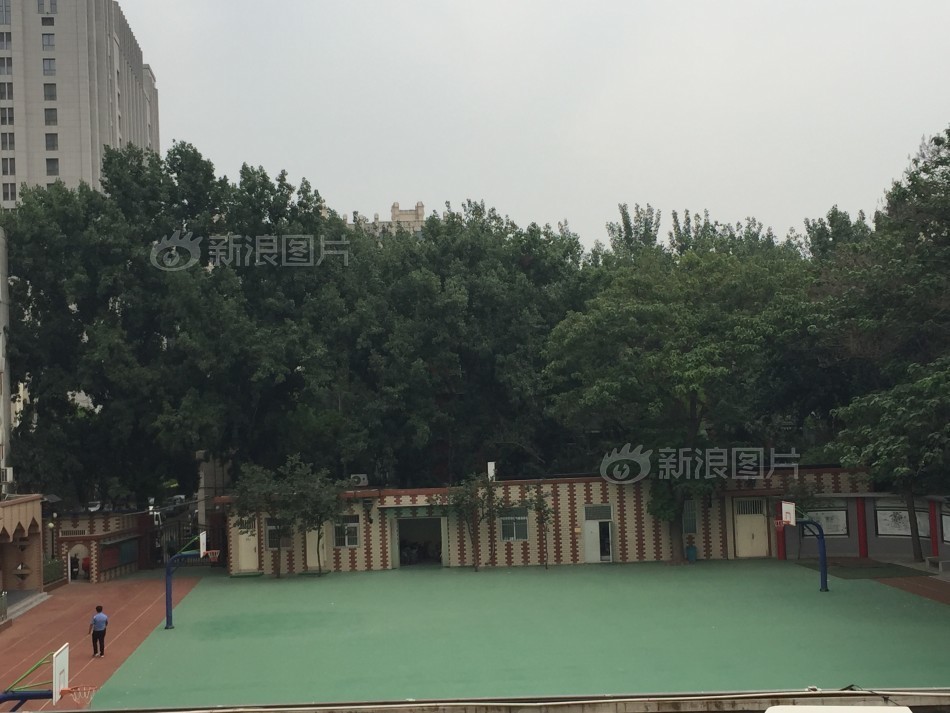 少妇大战黑人激情视频