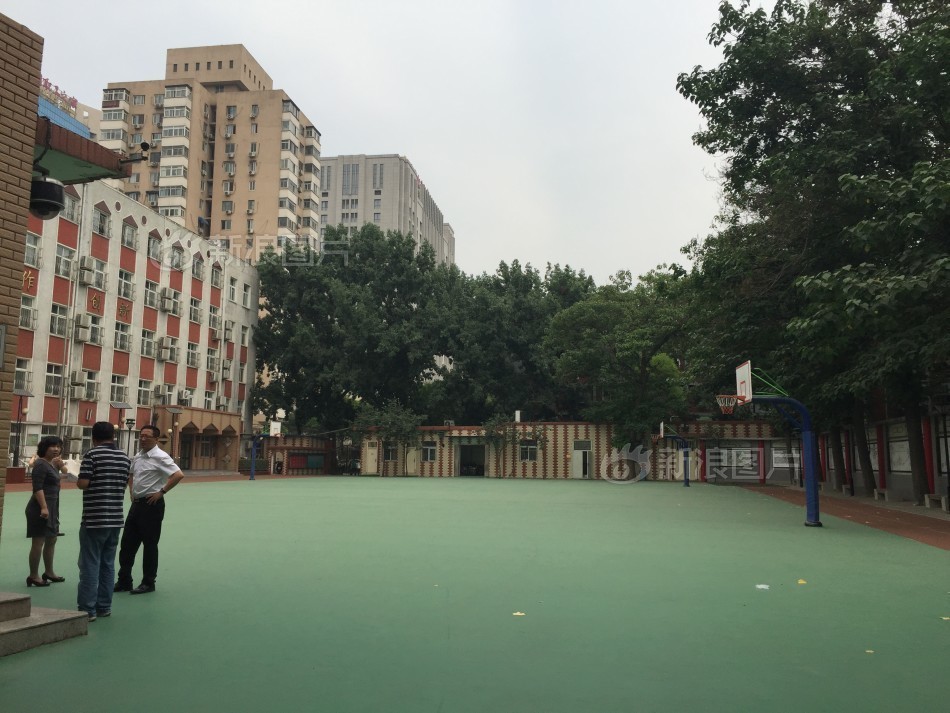 欧美黄色网站下载