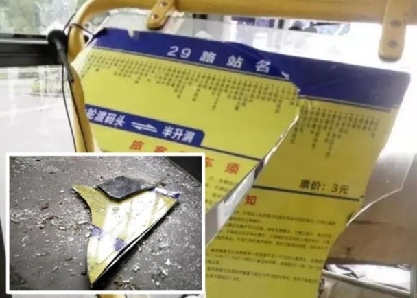 国产 高清 成人 视频