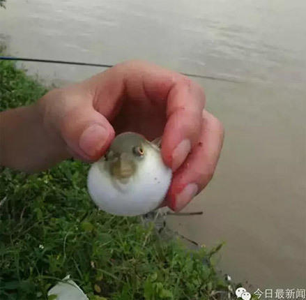 狠狠艹