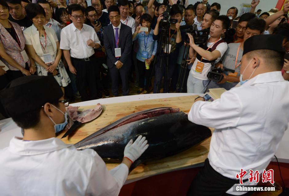 动漫黄片免费观看高清画面动漫版高清无妈
