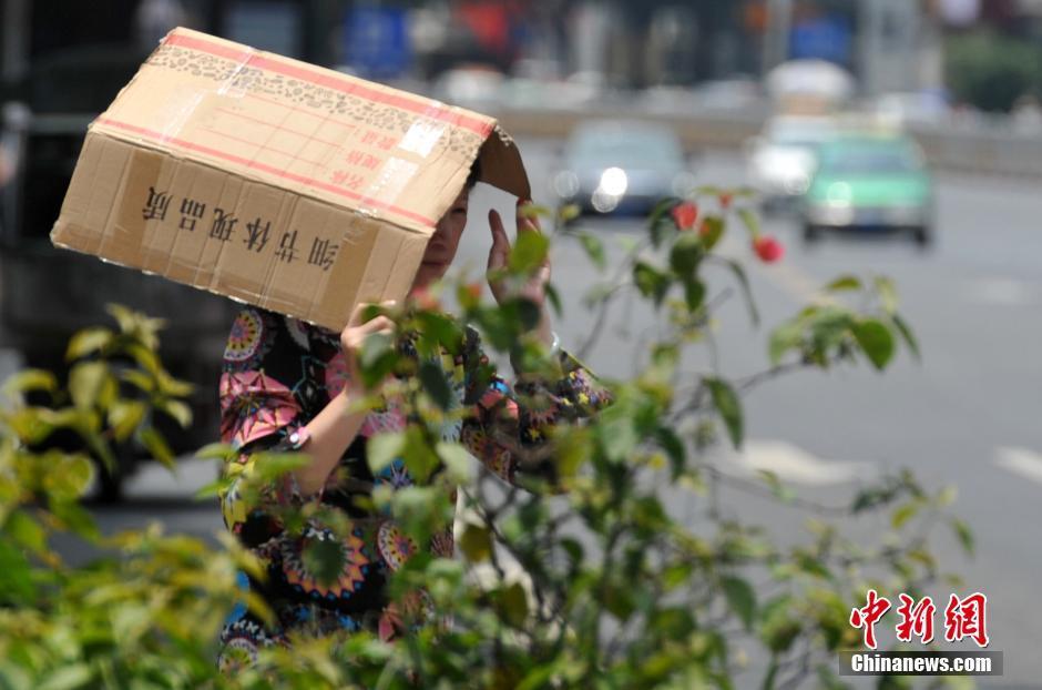 色狐直播