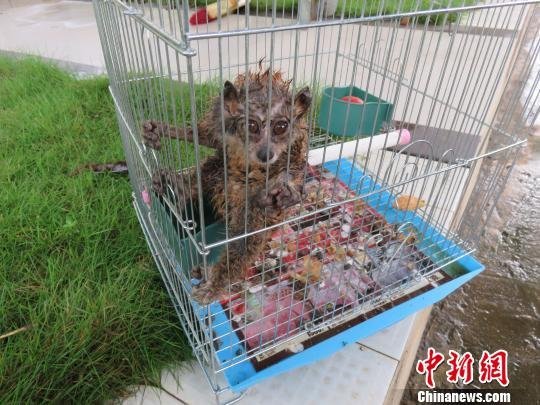 永旺棋牌