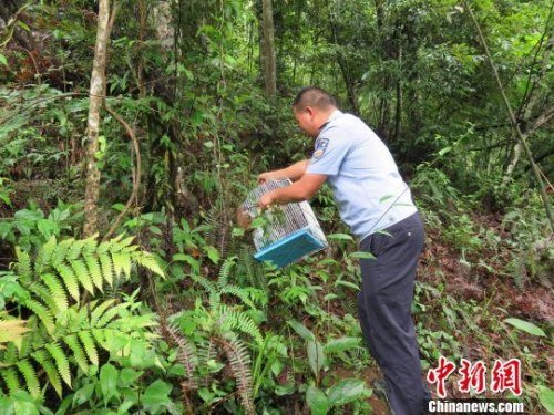 国产三级片黄色网站免费直播