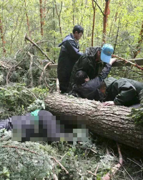 三级福利片