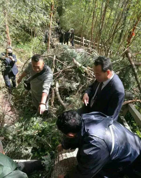 日韩Av高清大乱交