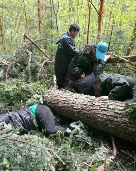 外国夫妻性生活黄色一级片