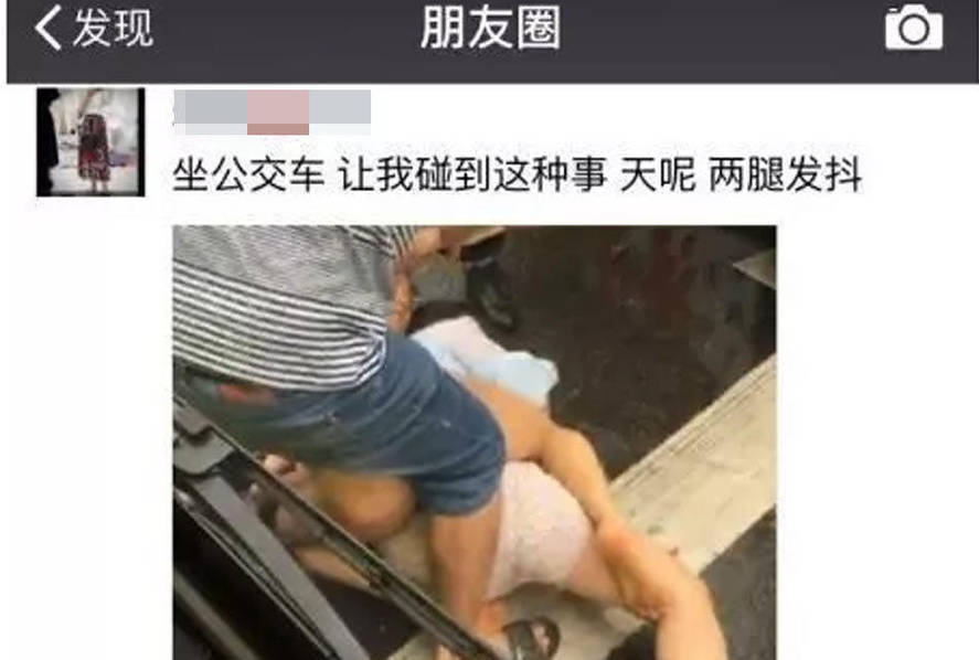让我欣赏一下你的小森林