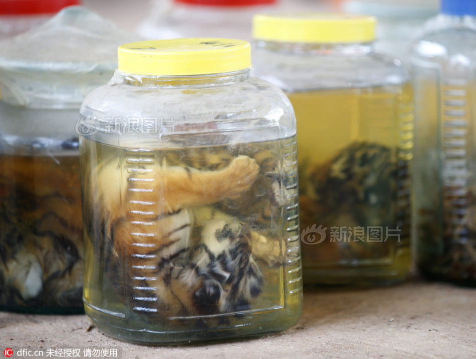 女人扒开腿秘 打扑克动