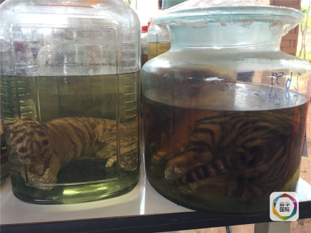 黄色视频