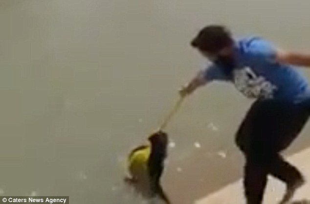 熟妇内射视频