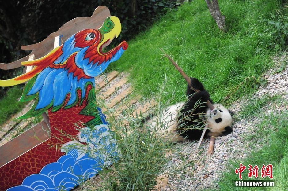 《好好疼爱里面》动漫