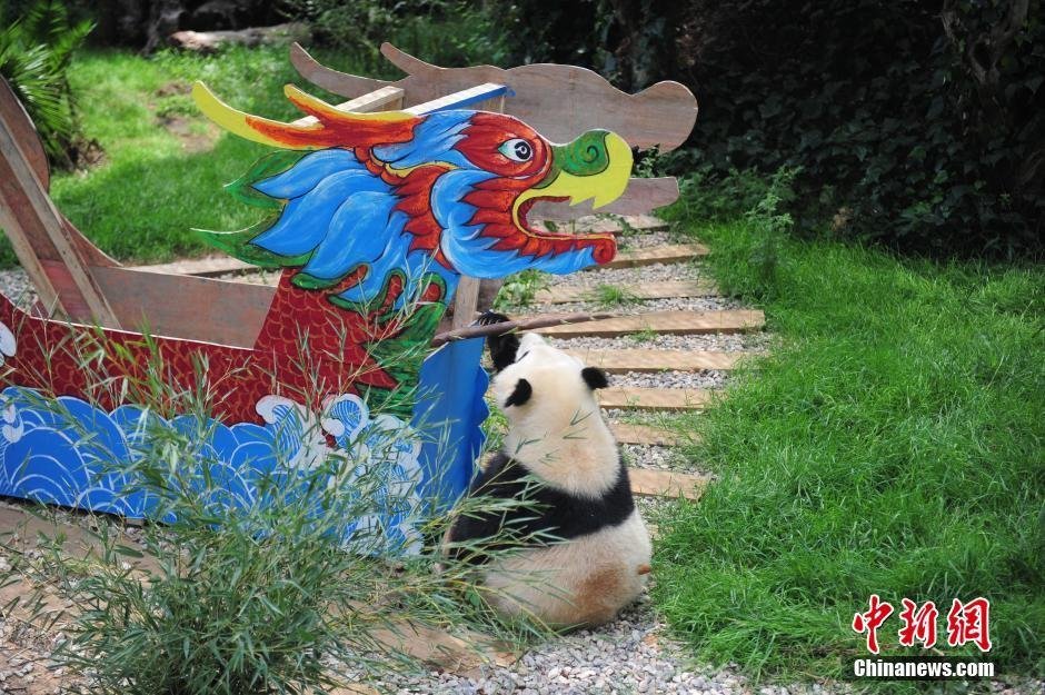 免费人成视频在线观看网