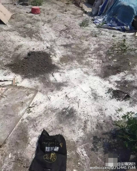 欧美牲