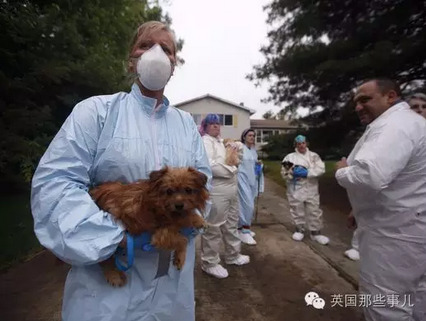 黄色片免费看