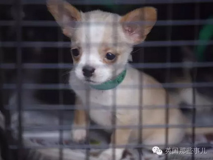 重囗味的老女人乱老V